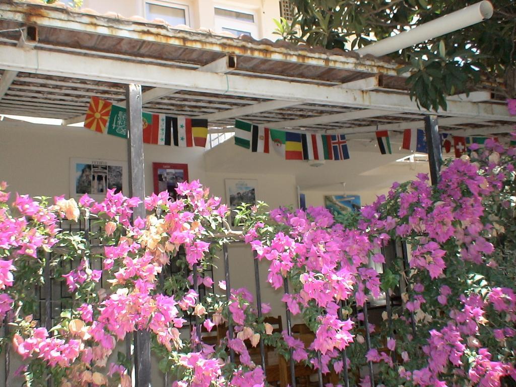 Onur Pension Fethiye Bagian luar foto
